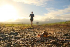 Corriendo bajo el sol